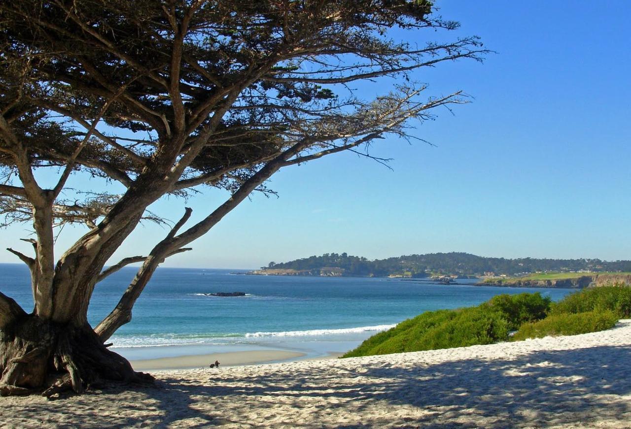 Briarwood Carmel-by-the-Sea